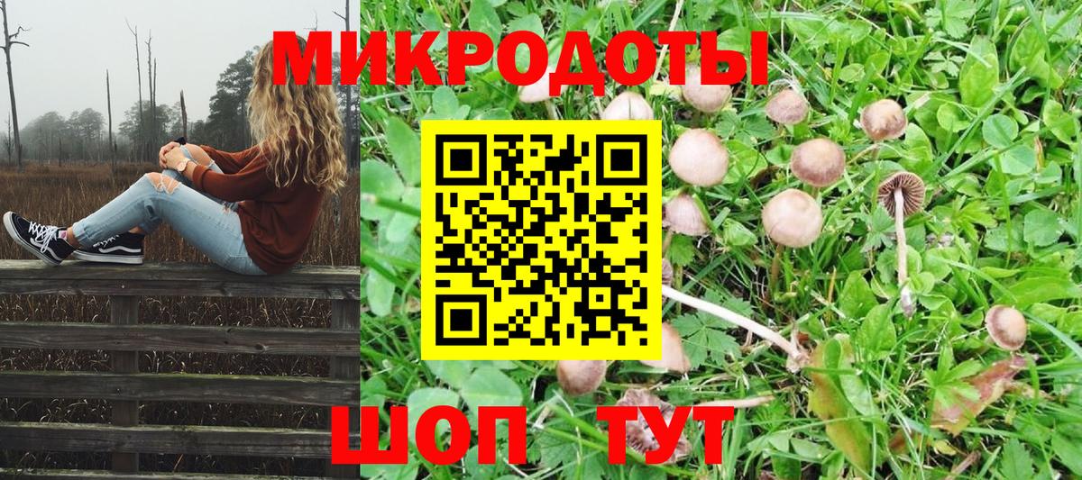 Аксай  Галлюциногенные грибы Psilocybine cubensis  Вход с VPN 